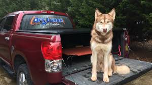 Our tips and tricks will help get your pup trained in no time! Dog Obedience Trainer Pittsburgh Pa Pittsburgh Pennsylvania Dog Trainers Pittsburgh Off Leash K9 Dog Training Dog Trainer Pittsburgh Pa