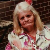 3609598_fbs.jpg?cb=20251231103135