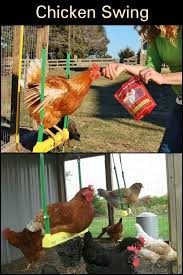 кормушка для птиц своими руками из коробки из под обуви Keep Your Pet Chickens Entertained With This Chicken Swing Kormushka Dlya Kur Kury