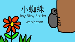 Mandarin Chinese Children S Song 小蜘蛛 Itsy Bitsy Spider Pinyin English Translation Chinese Characters Childrens Songs Mandarin Chinese Bitsy Spider