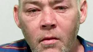 Woman suffers stroke after seagull swoops