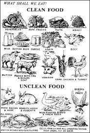 I Was Asked Recently Why We Have Stopped Eating Unclean Food It Has Been Brought Up A Few Times And I Thought It Bes Bible Food Bible Facts Bible Knowledge