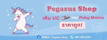 Pubg mobile uc unknown cash en iyi fiyata epindigital'de. Pegasus Shop Home Facebook