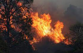 Heavy Winds Fan Australian Bushfires Disrupt Flights Australia Forest Fire Fire