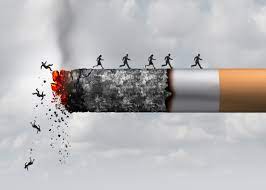Psilocybin For Smoking Cessation Works Via Drug And Non Drug Factors Psychedelic Science Review