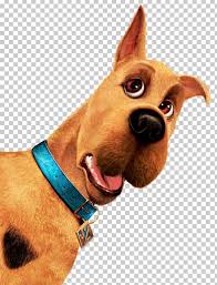 Check spelling or type a new query. Scoobert Scooby Doo Great Dane Youtube Scooby Doo Night Of 100 Frights Velma Dinkley Png Clipart