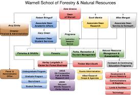 Organizational Chart Warnell School Of Forestry And
