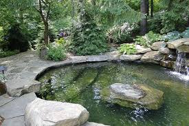 396 Backyard Pool Designs Pool Landscaping Natural Swimming Pools