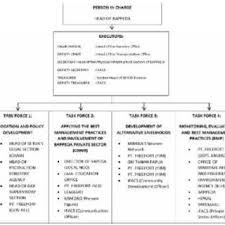 Organization Structure Of Msf In Papua Province Download