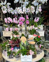 Floristería Romanos