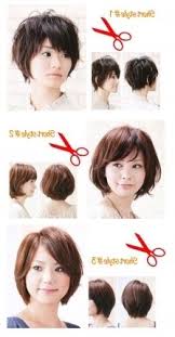 Short Hairstyles For Older Asian Women Hd Images Asian Hairstyles Women Short Hair Styles Asian Short Hair