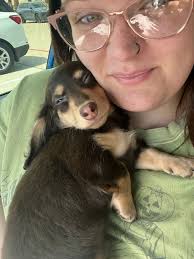 Little Elvis is 22 today 🥳