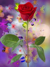 We did not find results for: Paradise Of Love Beautiful Flowers Wallpapers Beautiful Flowers Flower Wallpaper