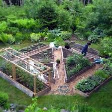 Small Garden With Enclosed Berry Area Garden Layout Vegetable Vegetable Garden Design Garden Layout