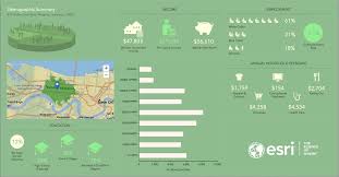 Arcgis Apps On Twitter Create Stunning Infographics With Businessanalyst To Visualize Key Indicators In Graphical Reports Here S How Https T Co Oruswcarck Https T Co Qir9xhezyz