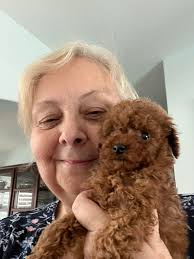 Hello from Miss Paisley, 9 years old, 2.5 pounds 🎀💕