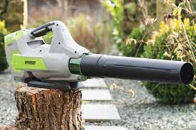 Cordless Leaf Blower Leaf Blower Leaves Blowers