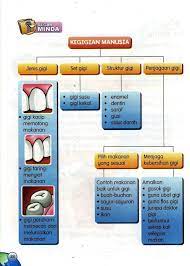 Sains tingkatan 3 mengandungi 10 buah bab yang terdiri daripada 45 topik. Pin On Unicorn Pictures