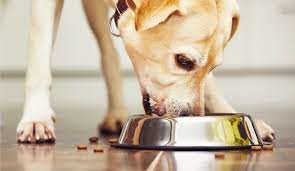 Nutro Ultra Dog Food Reviews Ratings Recalls Ingredients Herepup