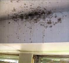 Oftentimes, disagreements ensue regarding the pest control responsibilities of landlords or tenants. Ontario Landlord And Tenant Law 2014