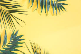 Aesthetic Black And Yellow Desktop Wallpaper Tropical Palm Leaves Laptop Wallpaper Computer Wallpaper Desktop Wallpapers Wallpaper Notebook