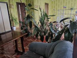 Stati Pansionat Dlya Pozhilyh Hospis Uhod Za Pozhilymi Lyudmi Harkov Onlajn