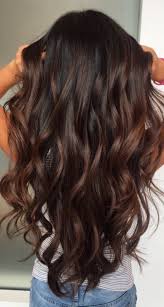 Next Hair Color Source By Juliapetzi Hair Styles Brown Hair Balayage Long Hair Color