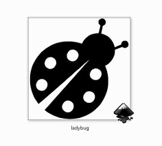 Black And White Ladybug Svg Ladybug Svg Ladybug Svg Cricut Design