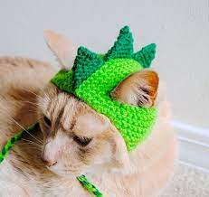 Dinosaur Cat Hat Green And Lime Hand Knit Cat Hat Cat Halloween Costume Crochet Cat Hat Crochet Dog Crochet Dog Sweater
