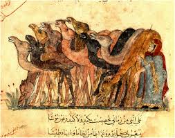 Jala más un pelo de mujer que una yunta de bueyes is more powerful one single woman hair, than a. Piebald Camels Pastoralism Full Text