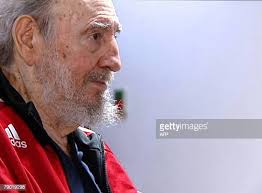 1,182 Veteran Of Da Stock Photos, High-Res Pictures, and Images