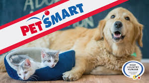 Pet friendly flagstaff hotels and motels are listed below along with the pet policy if we list the best petfriendly flagstaff arizona hotel and motel rooms allowing pets or dogs. Petsmart Dog Adoptions Signals Az