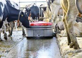 dairy farm cleaners ile ilgili görsel sonucu