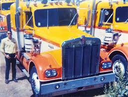 Image result for Yellow 1976 Fleet