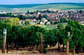 2009 Vintage Guide For Red Burgundy Decanter