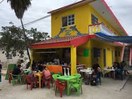 Maybe you would like to learn more about one of these? Fish Tacos And Ceveche Picture Of La Chingada Ceviches Holbox Island Tripadvisor