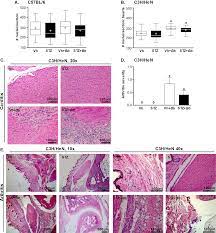 Hyperglycemia Impairs Neutrophil Mediated Bacterial Clearance In Mice Infected With The Lyme Disease Pathogen