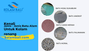 Temukan ragam inspirasi kolam ikan batu alam yang cantik menyejukkan cocok untuk rumah anda disini. Jenis Batu Alam Lantai Dan Dinding Kolam Renang Pemasangan