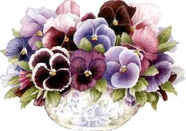 Resultado de imagem para amor-perfeito flor