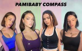 e girl compass (mega oc) (pamibaby) [wall edit] enjoy!❤️ :  rPoliticalCompassMemes