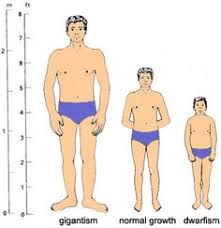 If your child needs treatment with hgh, the australian government will cover the cost. Adult Growth Hormone Deficiency