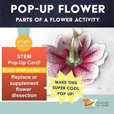 When autocomplete results are available use up and down arrows to review and enter to select. Teacher Toy Shop Pop Up Flower Stem Card Facebook