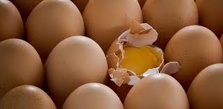 Check spelling or type a new query. Telur Kulit Putih Vs Telur Kulit Cokelat Begini Perbedaannya