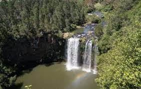 My wife and i took our teenage boys (16 and 13) and we all loved it. Dorrigo National Park Coffs Harbour Ticket Price Timings Address Triphobo