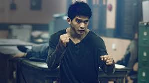 Each film has its qualities, so much so that fans debate which is the best. Hidden Martial Arts Gems On Netflix You Need To Watch