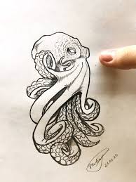 Octopus Octopus Drawing Drawings Drawing Sketches