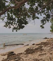 Istana pasir di pantai dengan gambira. Suatu Hari Di Pinggir Pantai