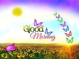 Nature Good Morning Wallpapers Wallpaper Cave Download good morning wallpaper from the above hd widescreen 4k 5k 8k ultra hd resolutions for desktops laptops, notebook, apple iphone & ipad, android mobiles & tablets. wallpaper cave