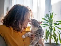 Why Does My Cat Bite Me? Understanding Cat Behavior