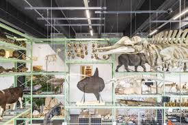 Naturalis biodiversity center has 408 repositories available. Naturalis Museum Nl